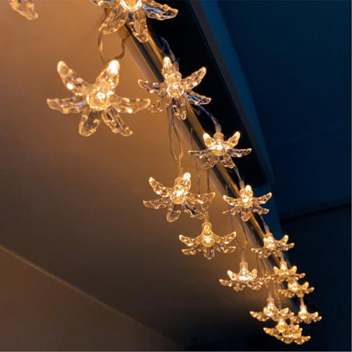 Fielegen 20 LED Kirschblüte Blume Lichterkette Batteriebetriebene Kirsch-Fee-Lichterkette 9,84FT Schlafzimmer Feiertagsdekoration Lichter für Hausgarten Geburtstag Hochzeitsfeier Valentinstag Dekor Fielegen 20 LED Kirschblüte Blume Lichterkette Batteriebetriebene Kirsch-Fee-Lichterkette 9,84FT Schlafzimmer Feiertagsdekoration Lichter für Hausgarten Geburtstag Hochzeitsfeier Valentinstag Dekor von Fielegen