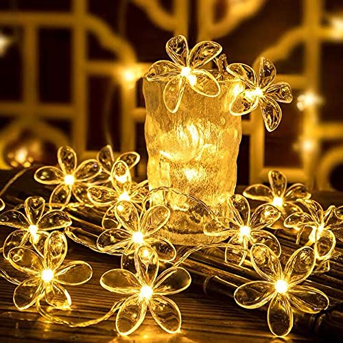 Fielegen 20 LED Kirschblüte Lichterkette 3 Meters Feenlichter Batteriebetriebene Blume Schnur Lichter Weihnachtsdekorative Lichter, Neuheit Licht für Zuhause Schlafzimmer Garten Hochzeit Party Dekor Fielegen 20 LED Kirschblüte Lichterkette 3 Meters Feenlichter Batteriebetriebene Blume Schnur Lichter Weihnachtsdekorative Lichter, Neuheit Licht für Zuhause Schlafzimmer Garten Hochzeit Party Dekor von Fielegen