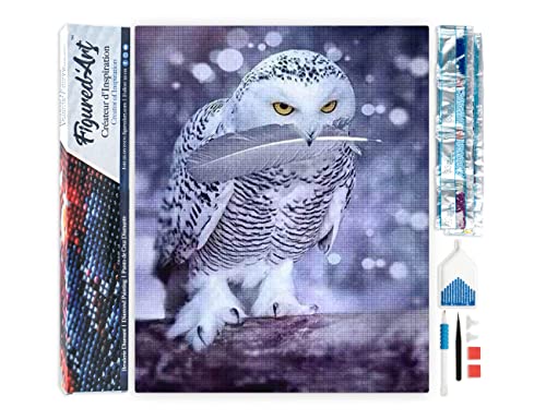Figured'Art Diamond Painting Erwachsene 40x50cm Ganze Leinwand gerollt Eulenfeder 5D Bilder Eckige Steine - DIY Set Basteln Figured'Art Diamond Painting Erwachsene 40x50cm Ganze Leinwand gerollt Eulenfeder 5D Bilder Eckige Steine - DIY Set Basteln von Figured'Art