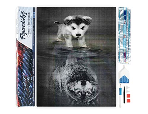 Figured'Art Diamond Painting Erwachsene 40x50cm Ganze Leinwand gerollt Hund und Wolf Spiegelung 5D Bilder Eckige Steine - DIY Set Basteln von Figured'Art