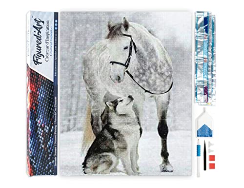 Figured'Art Diamond Painting Erwachsene 40x50cm Ganze Leinwand gerollt Pferd und Wolf im Schnee 5D Bilder Eckige Steine - DIY Set Basteln von Figured'Art