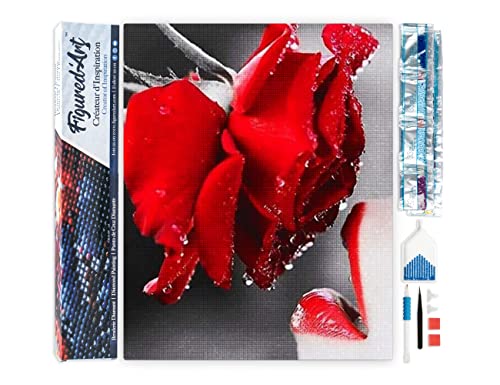Figured'Art Diamond Painting Erwachsene 40x50cm Ganze Leinwand gerollt Rote Rose und Lippen 5D Bilder Eckige Steine - DIY Set Basteln von Figured'Art