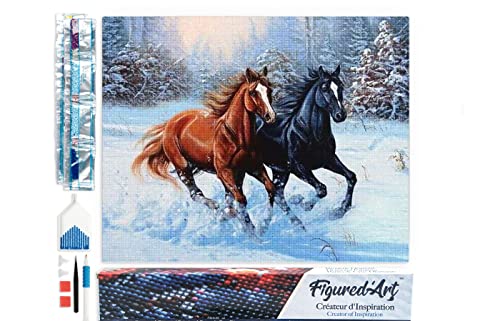 Figured'Art Diamond Painting Erwachsene 40x50cm Ganze Leinwand gerollt Zwei Pferde im Winter 5D Bilder Eckige Steine - DIY Set Basteln von Figured'Art
