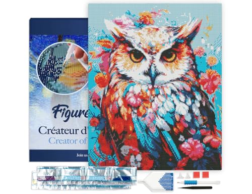 Figured'Art Diamond Painting Erwachsene 40x50cm Mit Rahmen Ganze Leinwand gespannt Bunte Eule in voller Blüte 5D Bilder Eckige Steine - DIY Set Basteln von Figured'Art