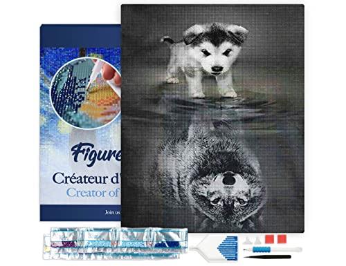 Figured'Art Diamond Painting Erwachsene 40x50cm Mit Rahmen Ganze Leinwand gespannt Hund und Wolf Spiegelung 5D Bilder Eckige Steine - DIY Set Basteln von Figured'Art