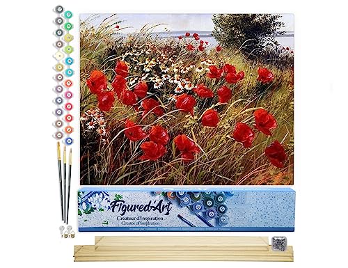 Figured'Art Malen Nach Zahlen Erwachsene Mit Rahmen Blumen im Feld 2 - Paint by Numbers Basteln DIY Bastelset 40x50cm Mit Keilrahmen (nicht gespannt) von Figured'Art