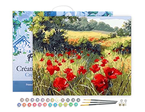 Figured'Art Malen Nach Zahlen Erwachsene Mit Rahmen Blumen im Feld 3 - Paint by Numbers Basteln DIY Bastelset 40x50cm Leinwand gespannt auf Holzrahmen Figured'Art Malen Nach Zahlen Erwachsene Mit Rahmen Blumen im Feld 3 - Paint by Numbers Basteln DIY Bastelset 40x50cm Leinwand gespannt auf Holzrahmen von Figured'Art