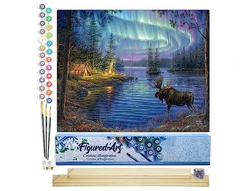 Figured'Art Malen Nach Zahlen Erwachsene Mit Rahmen Elch und Aurora Borealis - Paint by Numbers Basteln DIY Bastelset 40x50cm Mit Keilrahmen (nicht gespannt) von Figured'Art