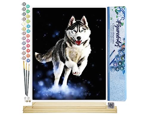 Figured'Art Malen Nach Zahlen Erwachsene Mit Rahmen Husky - Paint by Numbers Basteln DIY Bastelset 40x50cm Mit Keilrahmen (nicht gespannt) von Figured'Art