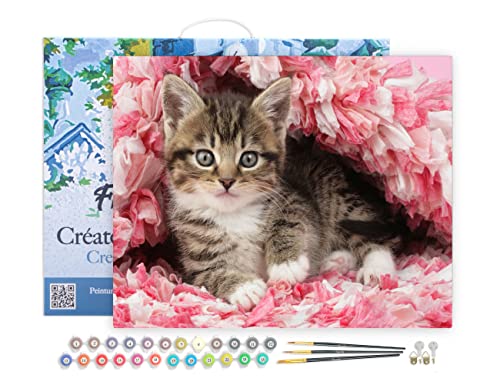 Figured'Art Malen Nach Zahlen Erwachsene Mit Rahmen Katze unter Decke - Paint by Numbers Basteln DIY Bastelset 40x50cm Leinwand gespannt auf Holzrahmen Figured'Art Malen Nach Zahlen Erwachsene Mit Rahmen Katze unter Decke - Paint by Numbers Basteln DIY Bastelset 40x50cm Leinwand gespannt auf Holzrahmen von Figured'Art