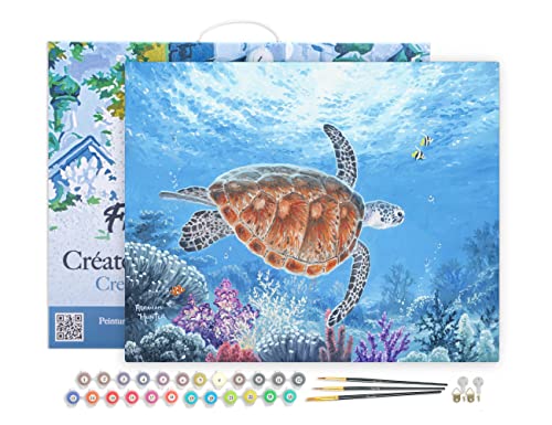 Figured'Art Malen Nach Zahlen Erwachsene Mit Rahmen Schildkröte auf einer Ballade - Paint by Numbers Basteln DIY Bastelset 40x50cm Leinwand gespannt auf Holzrahmen von Figured'Art