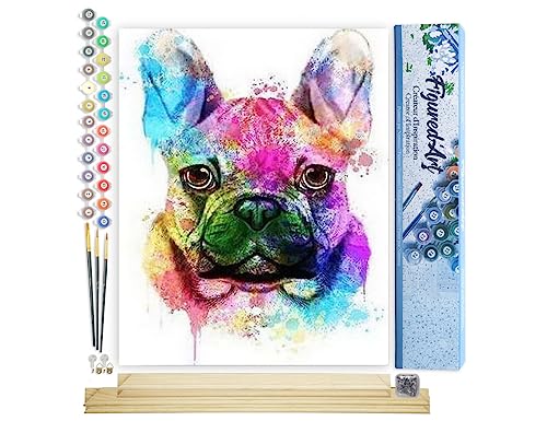 Figured'Art Malen Nach Zahlen Erwachsene Mit Rahmen Schöner bunter Hund - Paint by Numbers Basteln DIY Bastelset 40x50cm Mit Keilrahmen (nicht gespannt) von Figured'Art