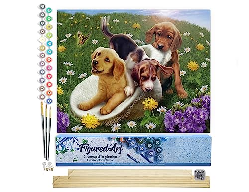 Figured'Art Malen Nach Zahlen Erwachsene Mit Rahmen Spielende Hunde - Paint by Numbers Basteln DIY Bastelset 40x50cm Mit Keilrahmen (nicht gespannt) von Figured'Art