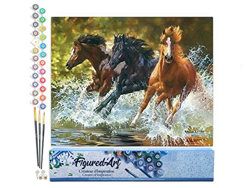 Figured'Art Malen Nach Zahlen Erwachsene Pferde im Wasser - Paint by Numbers Basteln DIY Bastelset 40x50cm ohne Holzrahmen von Figured'Art
