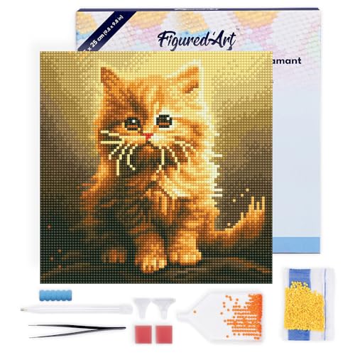 Figured'Art Mini Diamond Painting Erwachsene 25x25cm Mit Rahmen Ganze Leinwand gespannt Flauschiges Oranges Kätzchen 5D Bilder Runde Steine - DIY Set Basteln Figured'Art Mini Diamond Painting Erwachsene 25x25cm Mit Rahmen Ganze Leinwand gespannt Flauschiges Oranges Kätzchen 5D Bilder Runde Steine - DIY Set Basteln von Figured'Art