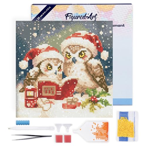 Figured'Art Mini Diamond Painting Erwachsene 25x25cm Mit Rahmen Ganze Leinwand gespannt Lesende Weihnachts-Eulen 5D Bilder Runde Steine - DIY Set Basteln Figured'Art Mini Diamond Painting Erwachsene 25x25cm Mit Rahmen Ganze Leinwand gespannt Lesende Weihnachts-Eulen 5D Bilder Runde Steine - DIY Set Basteln von Figured'Art