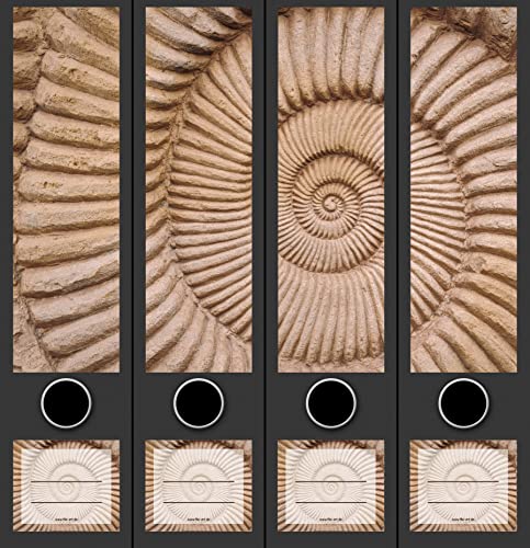 4er Set breite Ordnerrücken Nautilus Muschel Maritim File Art Ordner Etiketten Deko AJ 2201 von The Art File
