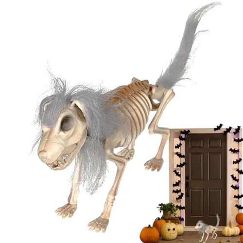 Filvczt Skelett Hund Halloween Deko | Welpen Figur | Flexible Schädel Tischdekoration Mit Mähne Gruselig Accessoires Für Halloween Gartendekoration Filvczt Skelett Hund Halloween Deko | Welpen Figur | Flexible Schädel Tischdekoration Mit Mähne Gruselig Accessoires Für Halloween Gartendekoration von Filvczt