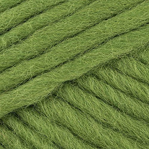 Filzi g / ~ 50 m Gras, Wolle, Grasgrün, 10 x 4 x 4 cm von Filzi