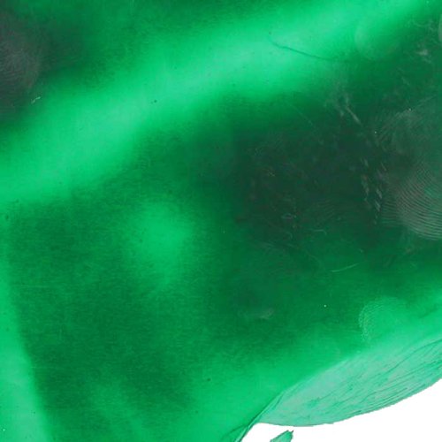 Fine Art Nr. 07 Encaustic Wachsfarbe grün Fine Art Nr. 07 Encaustic Wachsfarbe grün von Meyco