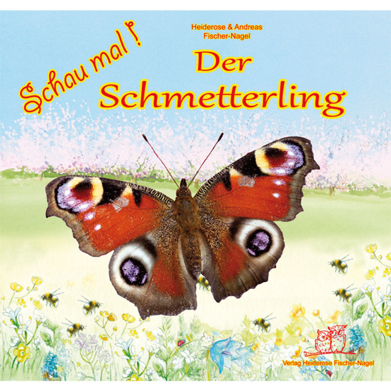 Der Schmetterling - Heiderose Fischer-Nagel, Andreas Fischer-Nagel, Gebunden von Fischer-Nagel