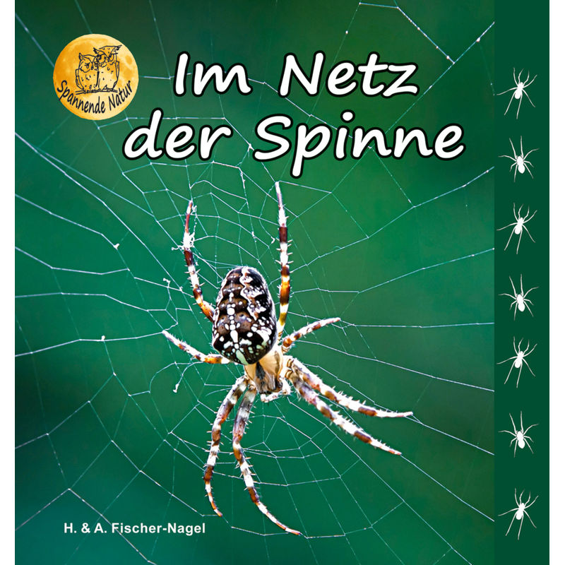 Im Netz Der Spinne - Heiderose Fischer-Nagel, Andreas Fischer-Nagel, Gebunden von Fischer-Nagel