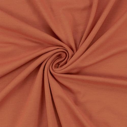 Viskose-Jersey Stoff, elastisch, uni terracotta (Länge am Stück: ab 50cm / Breite: 150cm) von Fitzibiz