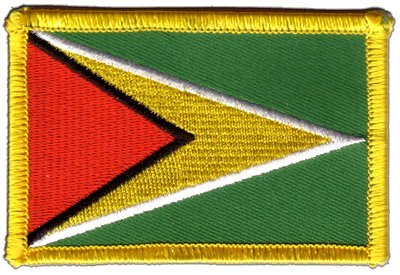 Aufnäher Patch Flagge Guyana - 8 x 6 cm von Digni