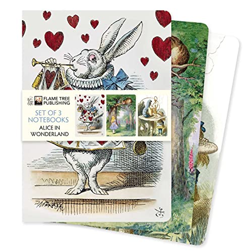 Dreier Set DIN-A5-Format-Notizbücher: Alice im Wunderland: Unser beliebten DIN-A5-Format-Notizbücher im 3er-Pack mit flexiblen, künstlerisch ... (3er-Sets DIN-A5-Format-Notizbücher) von Flame Tree Gift