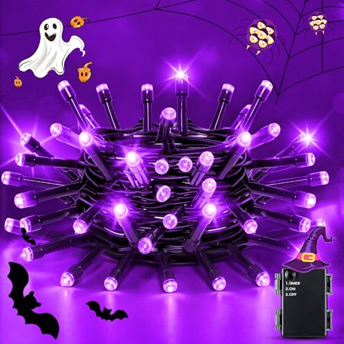 Flaspar Lila Lichterkette Außen Batterie, 5M 50 LEDs Halloween Lichterkette mit 6h Timer, Outdoor Batterie Lichterketten für Weihnachten, Halloween, Zimmer Außen/Innen (Lila) von Flaspar