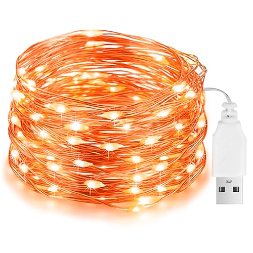 Halloween LED Lichterkette, 10M 100LED Orange Lichterketten, USB-betriebene, Herbst lichterkette IP65 Wasserdichte für außen/innen, kürbis Dach Fenster Party von Flaspar