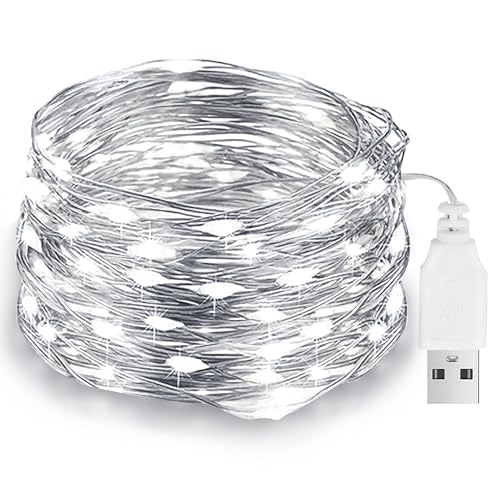 Led Lichterkette mit USB, 10M 100LED Kupferdraht Lichterkette mit Stecker, IP65 Wasserdichte für DIY, Hochzeit, Party, Schlafzimmer, Terrasse, Weihnachten(Kaltweiß) von Flaspar