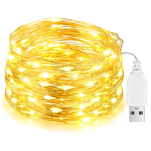 Led Lichterkette mit USB, 10M 100LED Wasserdicht Kupferdraht lichterkette mit Stecker, Draht Micro Lichterketten für DIY Weihnachten, Garten, Party, Hochzeit Deko (Warmweiß) von Flaspar