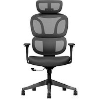 FlexiSpot Bürostuhl BS5BB Stoff schwarz, Gestell schwarz von FlexiSpot