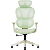 FlexiSpot Bürostuhl BS5LG Stoff grün, Gestell schwarz von FlexiSpot
