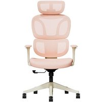 FlexiSpot Bürostuhl BS5P Stoff rosa, Gestell schwarz von FlexiSpot
