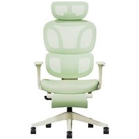 FlexiSpot Bürostuhl BS5WG-PRO Stoff grün, Gestell schwarz von FlexiSpot