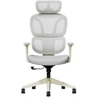 FlexiSpot Bürostuhl BS5WG Stoff grau, Gestell schwarz von FlexiSpot