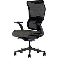 FlexiSpot Bürostuhl BS8 Pro Stoff schwarz, Gestell schwarz von FlexiSpot