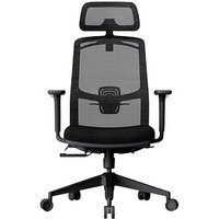 FlexiSpot Bürostuhl Office Premium YZ03 Stoff schwarz, Gestell schwarz von FlexiSpot