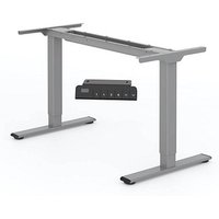 FlexiSpot E1 Pro elektrisch höhenverstellbares Schreibtischgestell grau ohne Tischplatte, T-Fuß-Gestell grau 111,6 - 148,6 x 68,0 cm von FlexiSpot