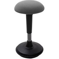 FlexiSpot Hocker BH4 dunkelgrau von FlexiSpot