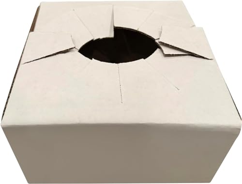 FloraStuff Blumenversandkartons - 20,3 x 20,3 x 10,2 cm großer Karton - Blumenversandkartons für Blumenvase und Topf - 50 Stück Versandkartons aus Karton von FloraStuff