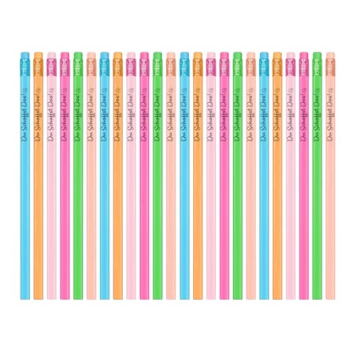 FloraVigo 24 Motivationsbleistifte (mit Radiergummi), 6 HB-Harzstifte, Graphitstifte zum Zeichnen und Schreiben, Geschenk für Schüler, Lehrer und Kollegen (Du Schaffst Das) von FloraVigo