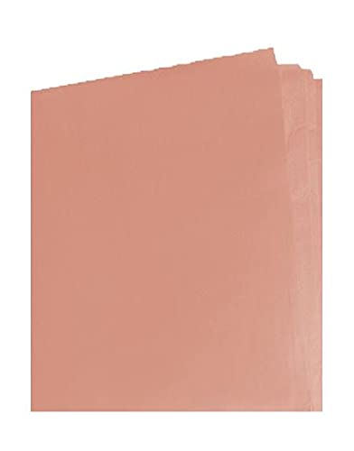 Floralcraft Seidenpapierbögen – Pfirsich, säurefreies Geschenkpapier, Großpackung, Papierbögen für Bastelarbeiten, Geburtstag, Hochzeit, Kinderzimmer, Party, Dekoration, 50 x 75 cm (5 Blatt) von Floralcraft