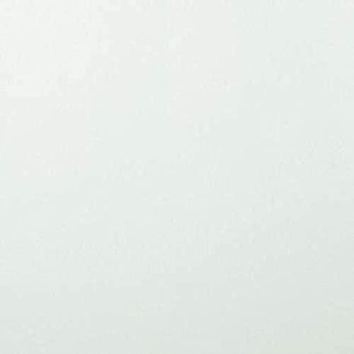 Vaessen Creative Florence Cardstock Papier, Hell-Grau, 216 Gramm/m², Quadratisch, 30,5 x 30,5 cm, 20 Stück, Glatt, für Scrapbooking, Kartenherstellung, Stanzen und andere Papierbasteleien von Vaessen Creative