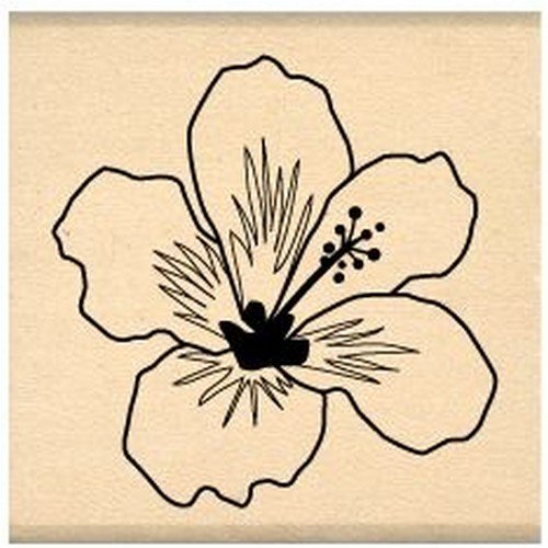 florilèges Design Stempel Scrapbooking Hibiskus Weiß/Beige 4 x 4 x 2,5 cm Weiß / Beige von Florilèges Design