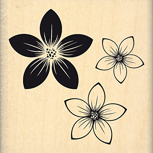 Florilèges Design fe216105 Stempel Holz Trio-Blumen Holz Farbe Holz 6 x 2.5 cm von Florilèges Design