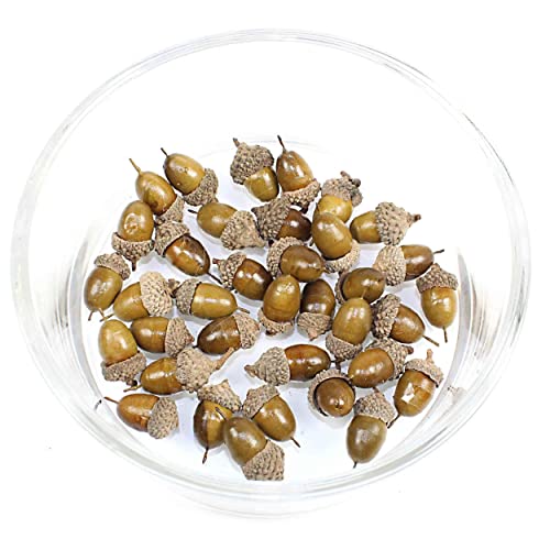36 St. Künstliche Braune Eicheln 3cm Streudeko Herbstdeko Herbst Deko Floristikbedarf 36 St. Künstliche Braune Eicheln 3cm Streudeko Herbstdeko Herbst Deko Floristikbedarf von Florissima