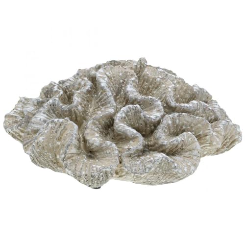 Floristik24 Maritime Korallen-Deko Beige Weiß Polyresin 23x20cm Künstlich von Floristik24